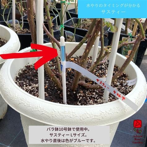 相原バラ園 / 植物水分計サスティー（Sustee）Lサイ 